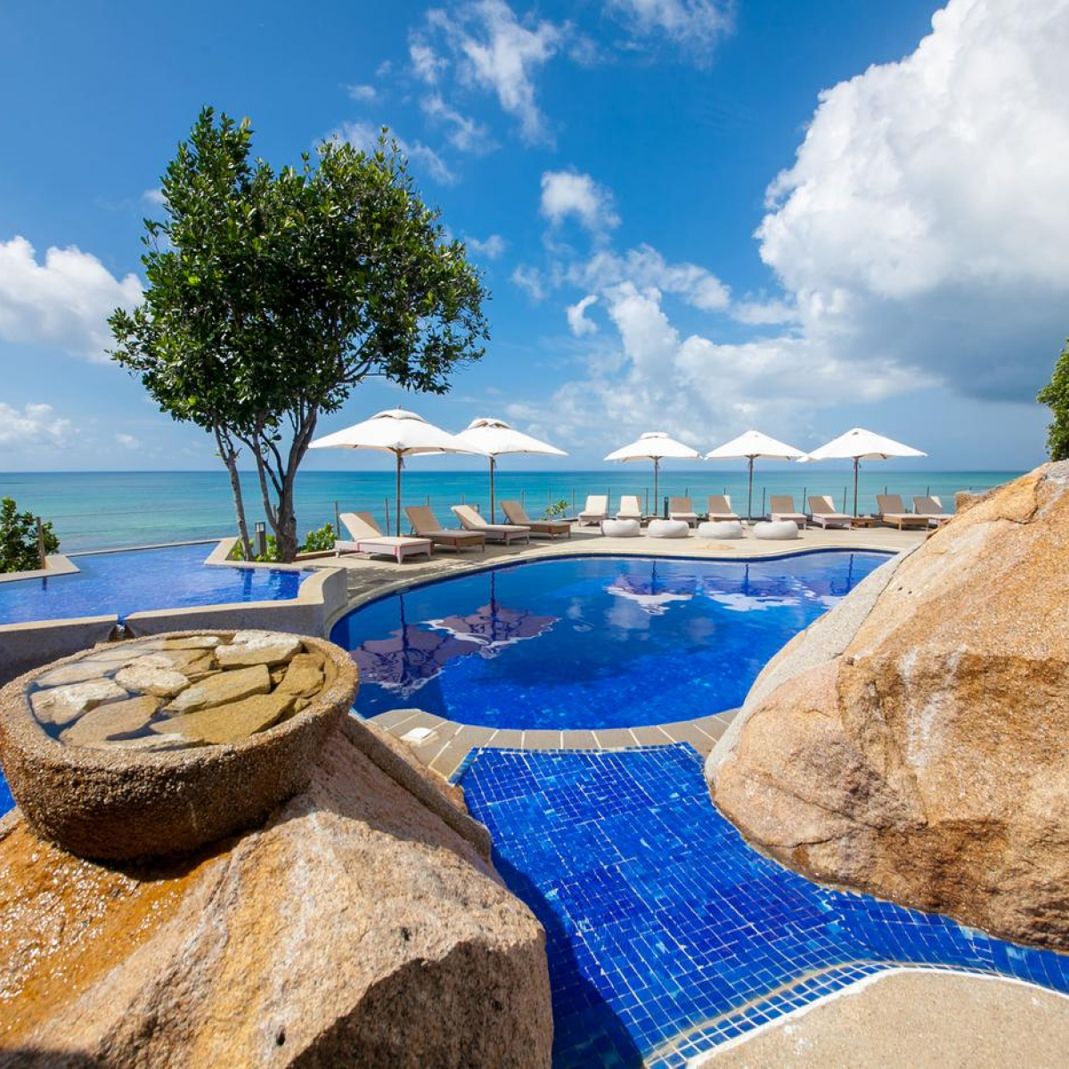 coco de mer black parrot suites